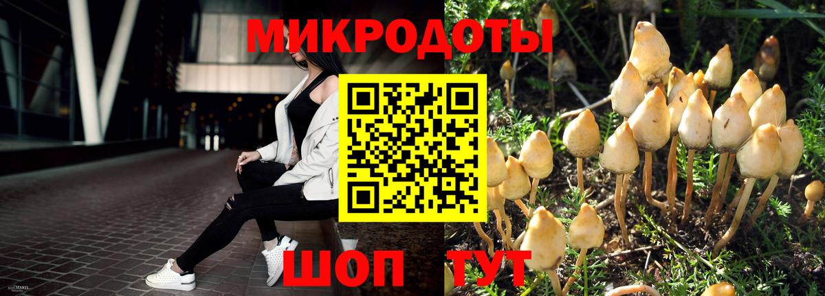Галлюциногенные грибы Cubensis  Вход с VPN  Магадан  Псилоцибиновые грибы Cubensis 